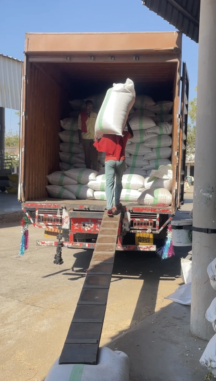 Export-quality coriander seeds sourced directly from Indian farmers