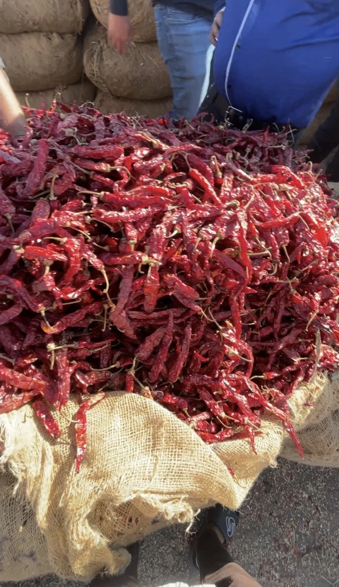red-chilli-exporter-india.jpg